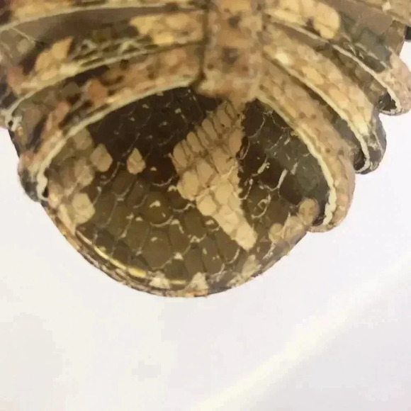 Stuart Weitzman y2k Snakeskin Python Print Stiletto Strappy Heel Pump Size 7.5 - Picture 11 of 16